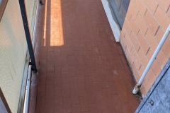 Pulizia guano