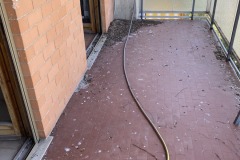 IMG_0769