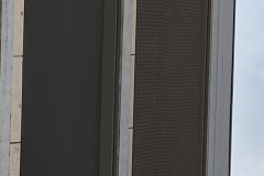 IMG_1609