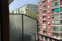 IMG_1829