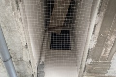 IMG_2617